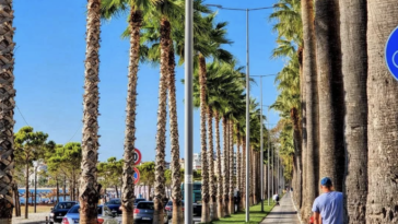 May in Vlorë: Top 5 Ways to Enjoy the Coastal Beauty | App | Albania360 | Web | Social