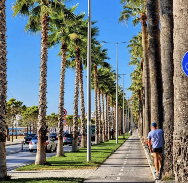 May in Vlorë: Top 5 Ways to Enjoy the Coastal Beauty | App | Albania360 | Web | Social