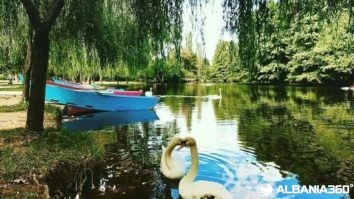 You Came in May… But Pogradec Might Make You Stay | App | Albania360 | Social | Web