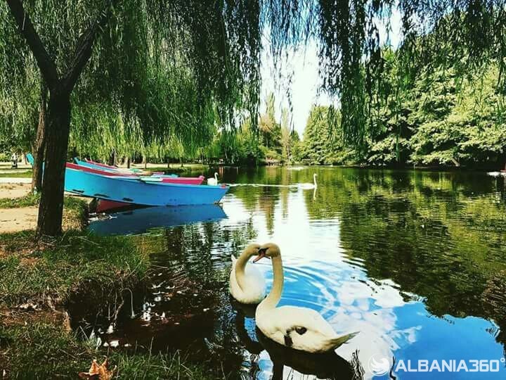You Came in May… But Pogradec Might Make You Stay 16 You Came in May… But Pogradec Might Make You Stay | App | Albania360 | Social | Web