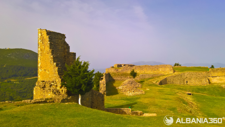 Progetto senza titolo 59