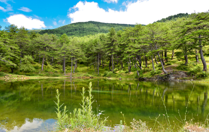 Gjinar, Elbasan - your next picnic destination 13 gjinar