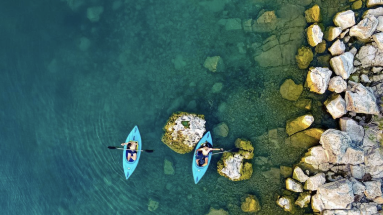 Screenshot 2022 03 22 at 11.07.09 AM