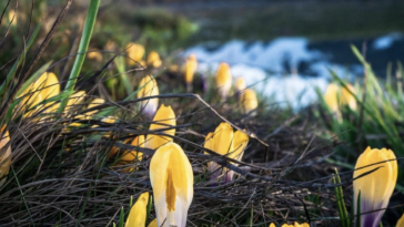 Screenshot 2022 05 24 at 12.07.21 PM