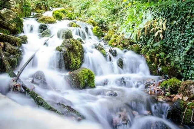 Tepelenë Calling: The Ultimate May Escape | App | Albania360 | Web | Social