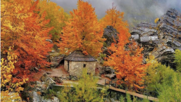 Screenshot 2022 09 26 at 2.45.07 PM