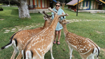 Screenshot 2022 09 30 at 12.04.17 PM