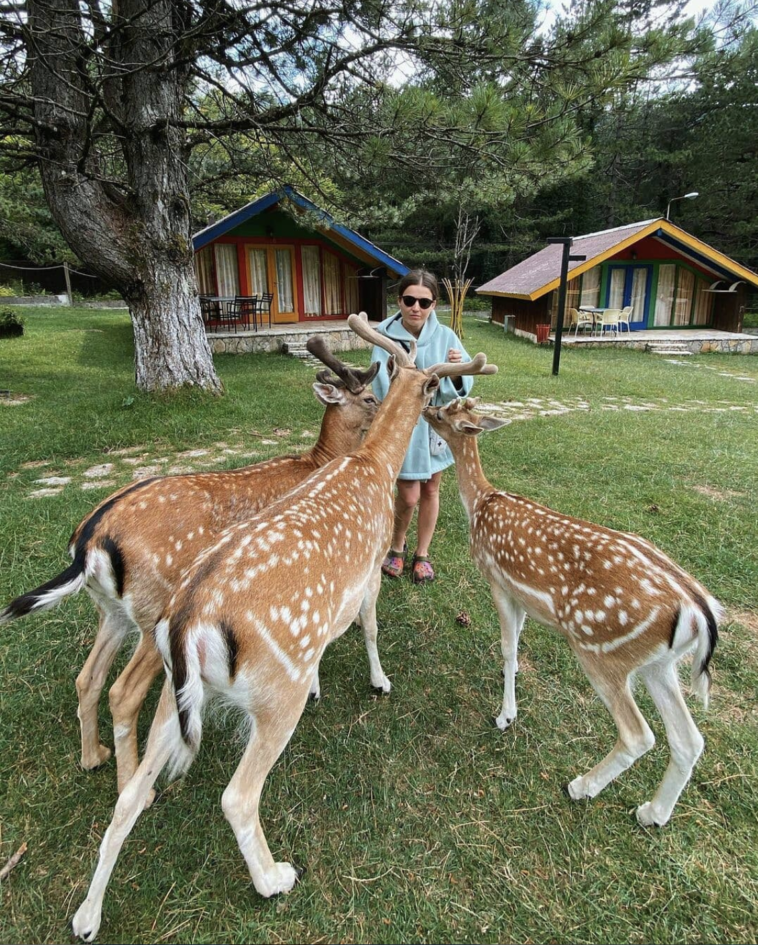 Screenshot 2022 09 30 at 12.04.17 PM