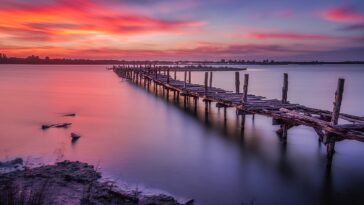 Karavasta Lagünü, Divjake, Olti Permeti