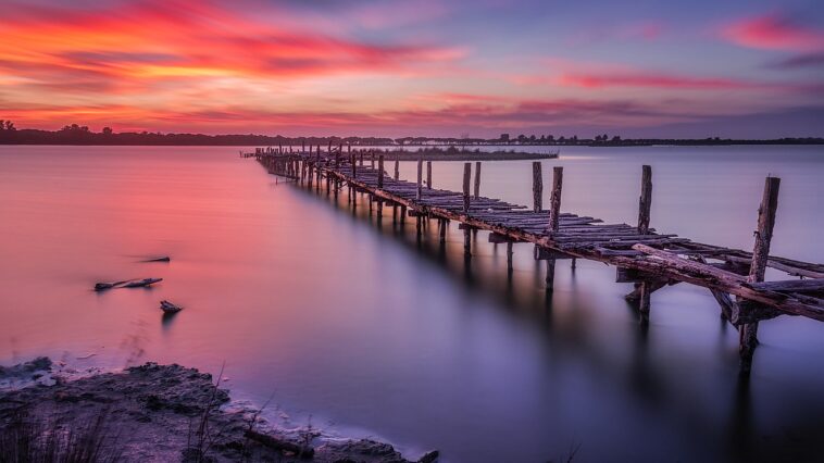 Karavasta Lagoon, Divjake by Olti Permeti