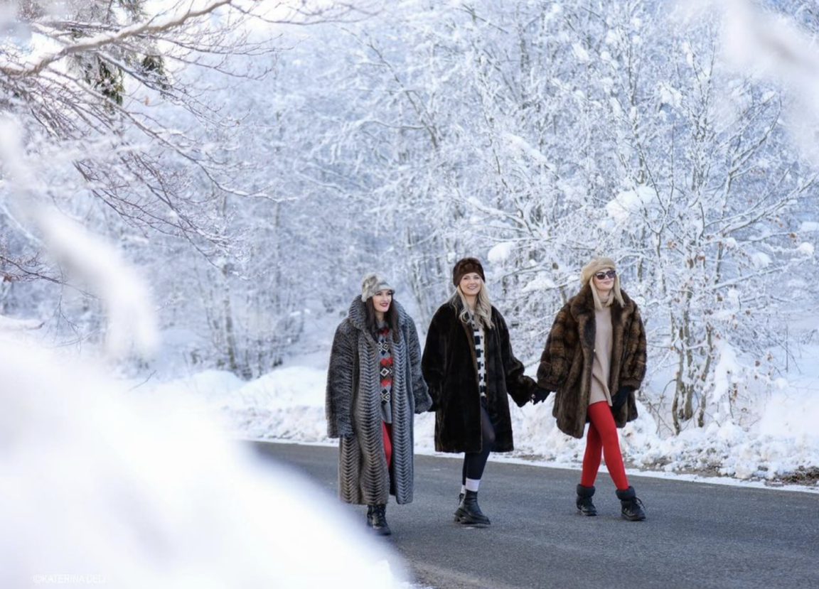 things to do in dardhe