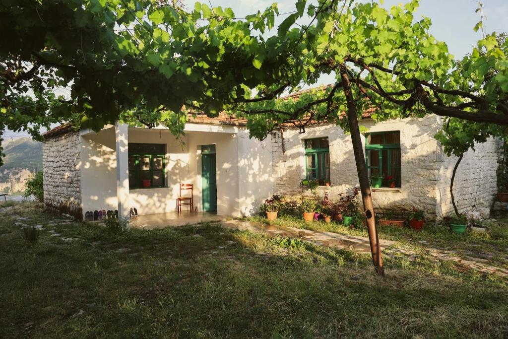 Guesthouse on Canyon