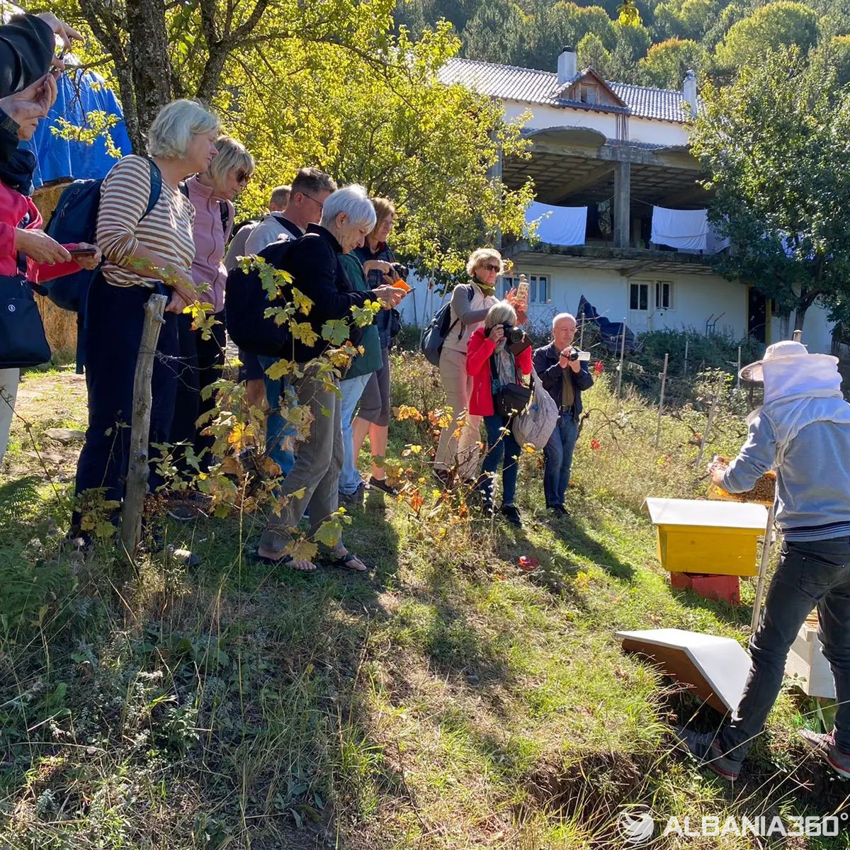 311048351 534654632002712 9103198251522155176 n