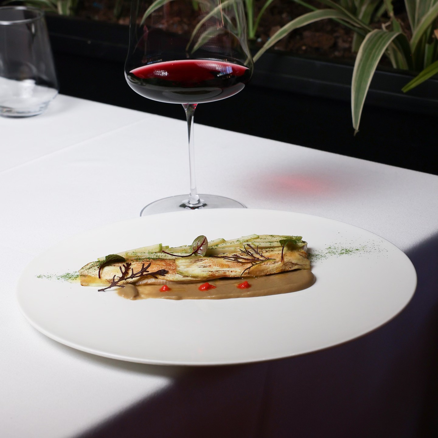 451863866 789736300018929 9074653901536709030 n