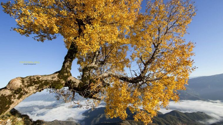 Fation Plaku, Mount Nemercke, Permet