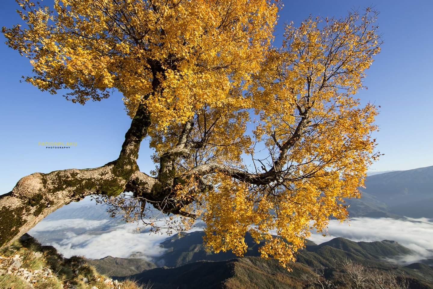 Autumn in Albania: 10 Stunning Destinations for Fall and 10 Reasons Why 22 Fation Plaku, Mount Nemercke, Permet