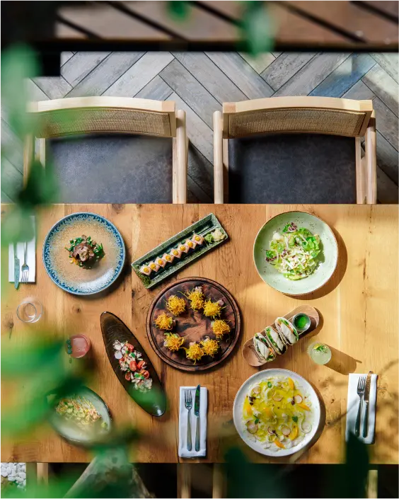 Salt, Tirana - Albania360 | Web | App | Social - Visit Albania