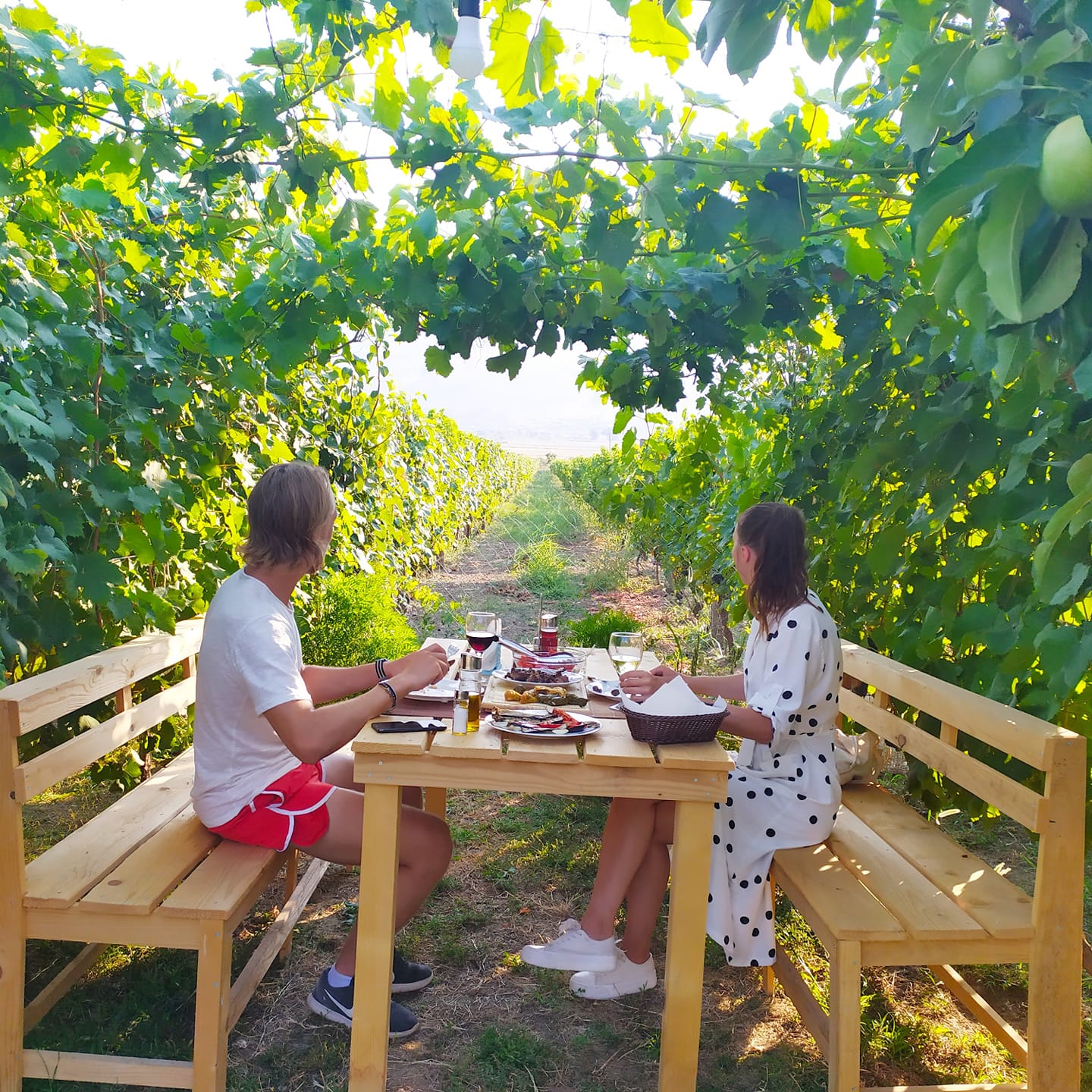 The Barrels (Te Fucite)