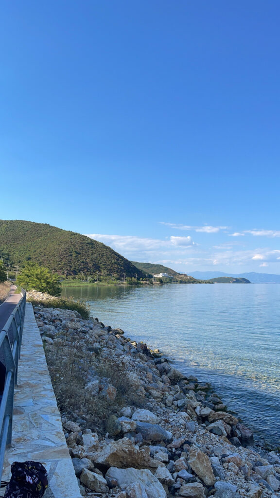 94AB6AE9 6B90 4FC5 8605 4A01022D22EF