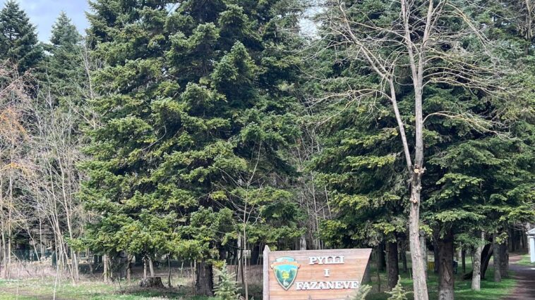 Pheasant Forest, Korce | Albania360 | Web | App | Social