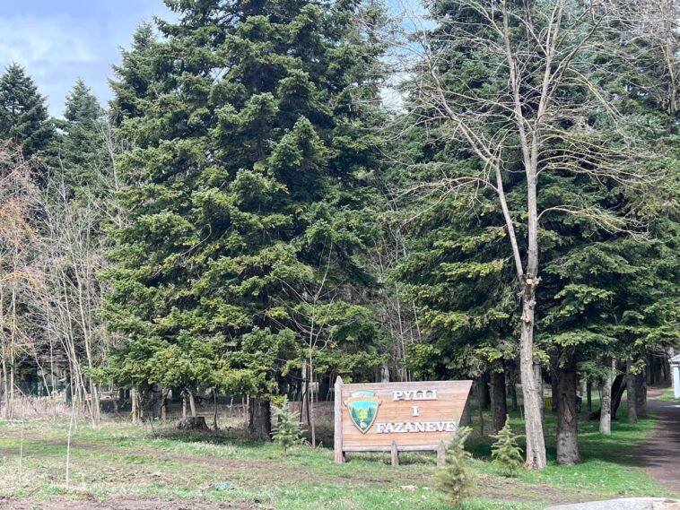 Pheasant Forest, Korce | Albania360 | Web | App | Social