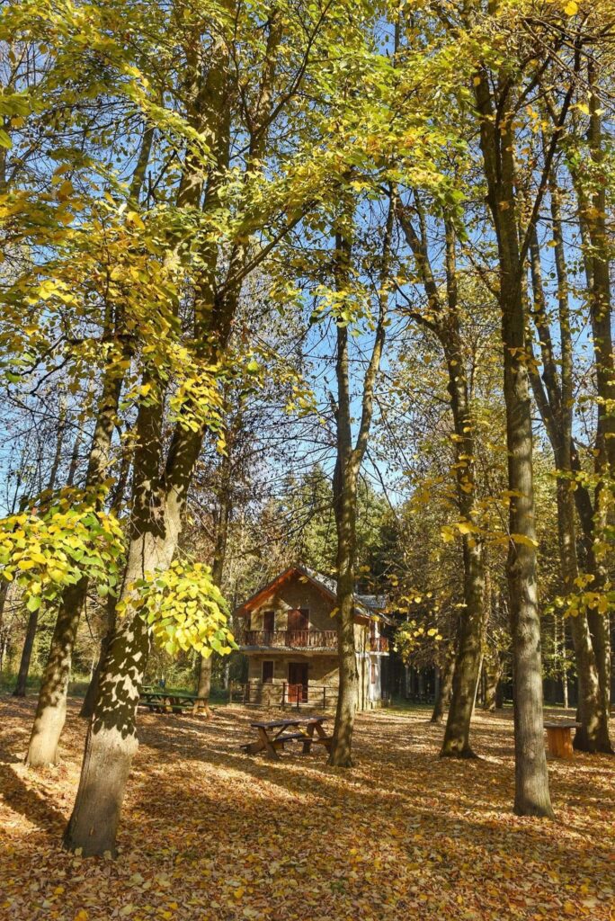 Celebrate the Start of Summer in Korçë 18 Pheasant Forest, Korce | Albania360 | Web | App | Social