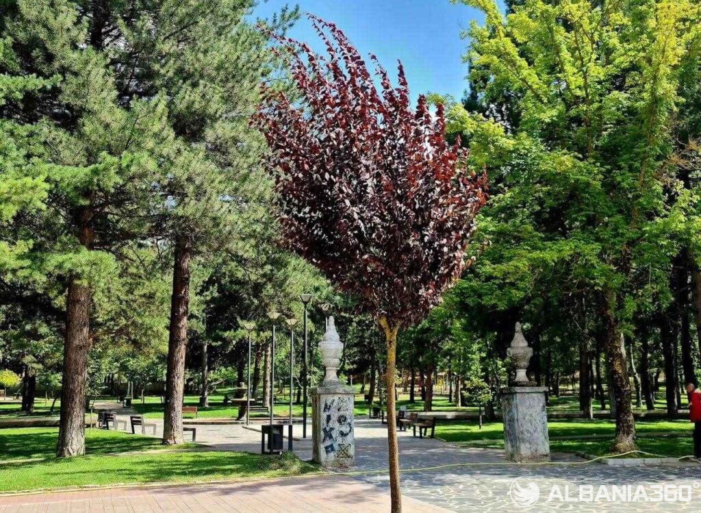 April Trails & Blossoming Tales: Exploring Korce in Spring: Top 5 things to do! 18 rinia park korce
