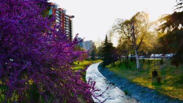 April in Tirana: Where to Sip, Stroll & Enjoy Spring! | App | Albania360 | Web | Social