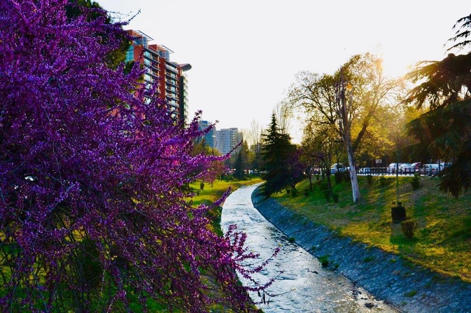 April in Tirana: Where to Sip, Stroll & Enjoy Spring!  | App | Albania360 | Web | Social 