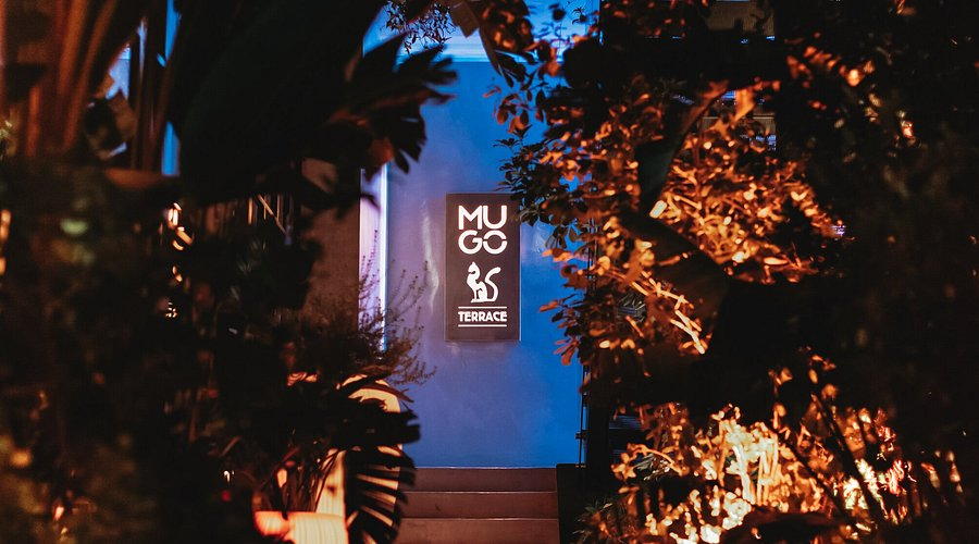 Brunch in Tirana: 10 Top Places 18 image 19