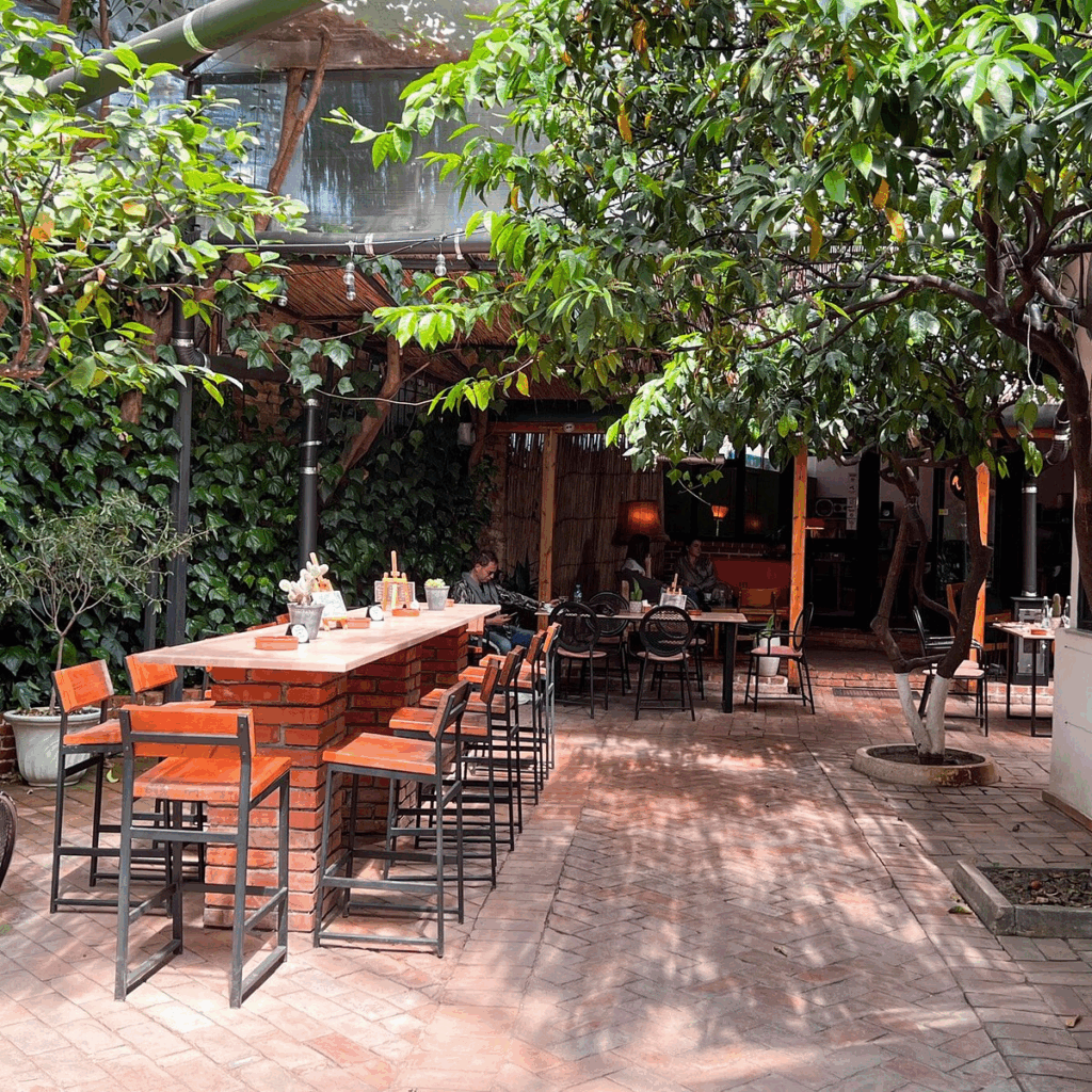 Brunch in Tirana: 10 Top Places 23 image 25