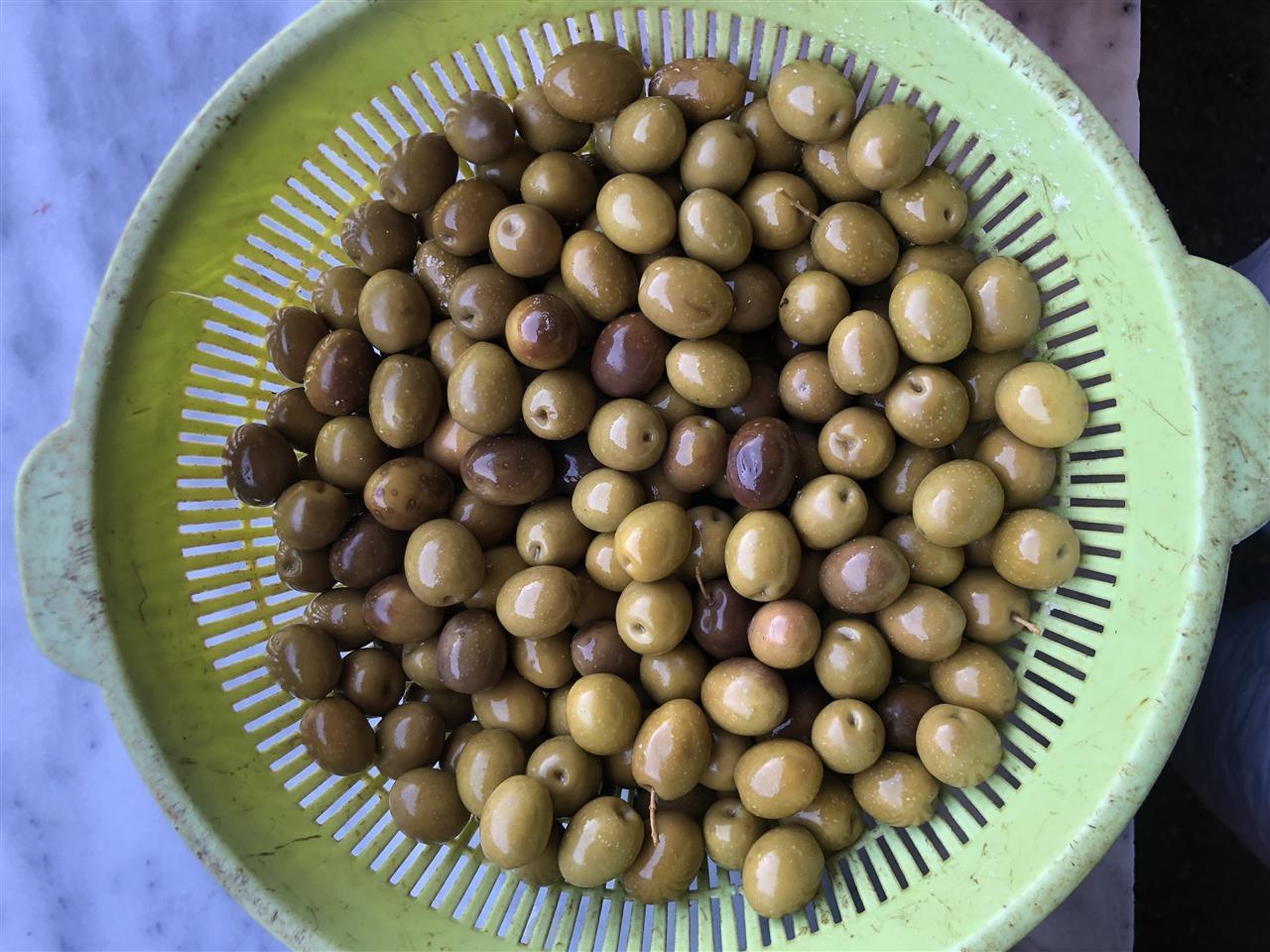 shesim ullinj berati