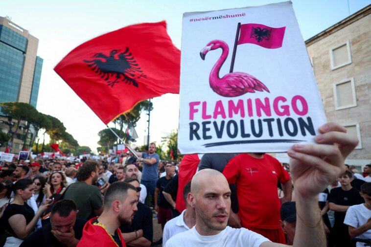 Why Are Albanians Protesting for 30 Days in a Row? Understanding the "Flamingo Revolution" 13 545248