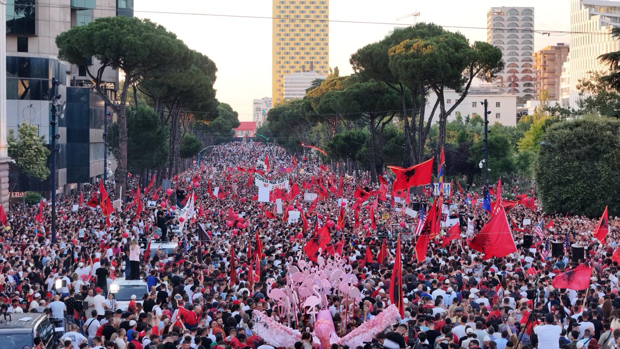 protesta flamingo